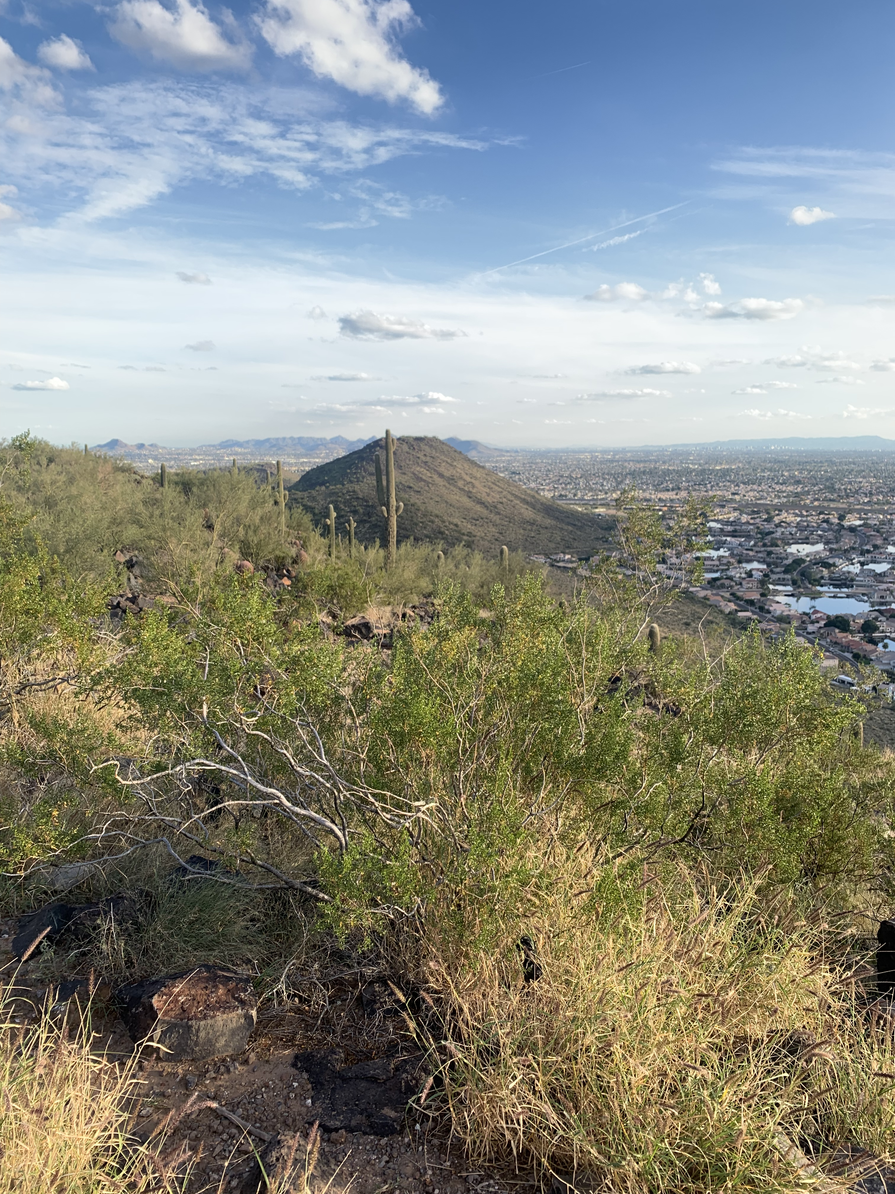 Desert Hiking View