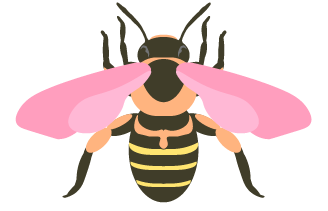 common eastern bee icon
